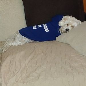 Meet your Posher, Gary